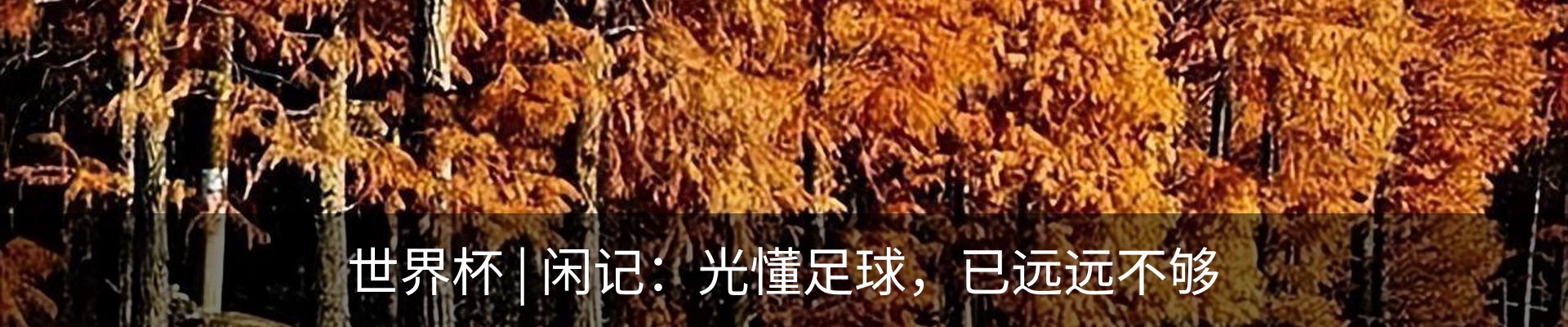 新闻中心